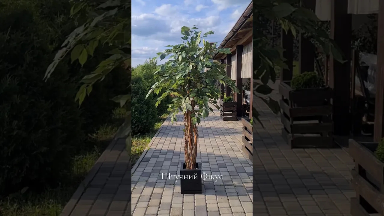 Artificial Plant Ficus Liana H170cm NKoop EEG