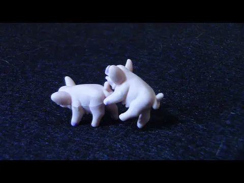 Taking The Stench Out Of Pass The Pigs
