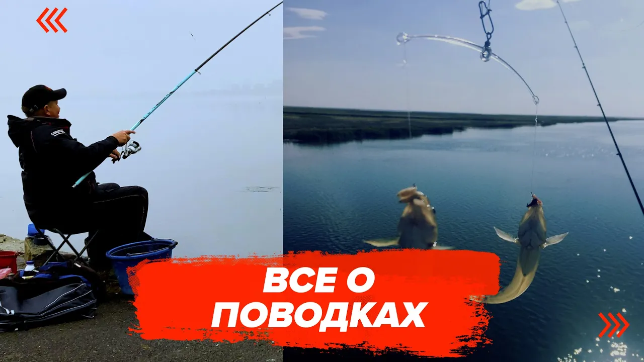 rybalka