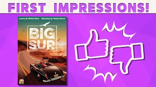 Big Sur - First impression Review!