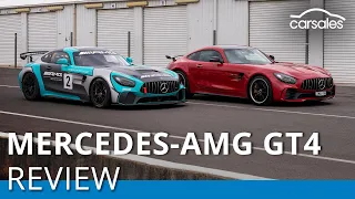 Drive your own Mercedes-Benz factory racer | Mercedes-AMG GT4