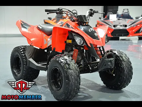 2019 Can-am Ds 90 Thumbnail alt