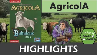 Agricola Bubulcus Game Session Highlights