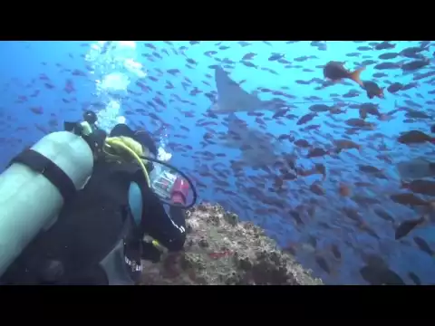 youtube-video-thumbnail