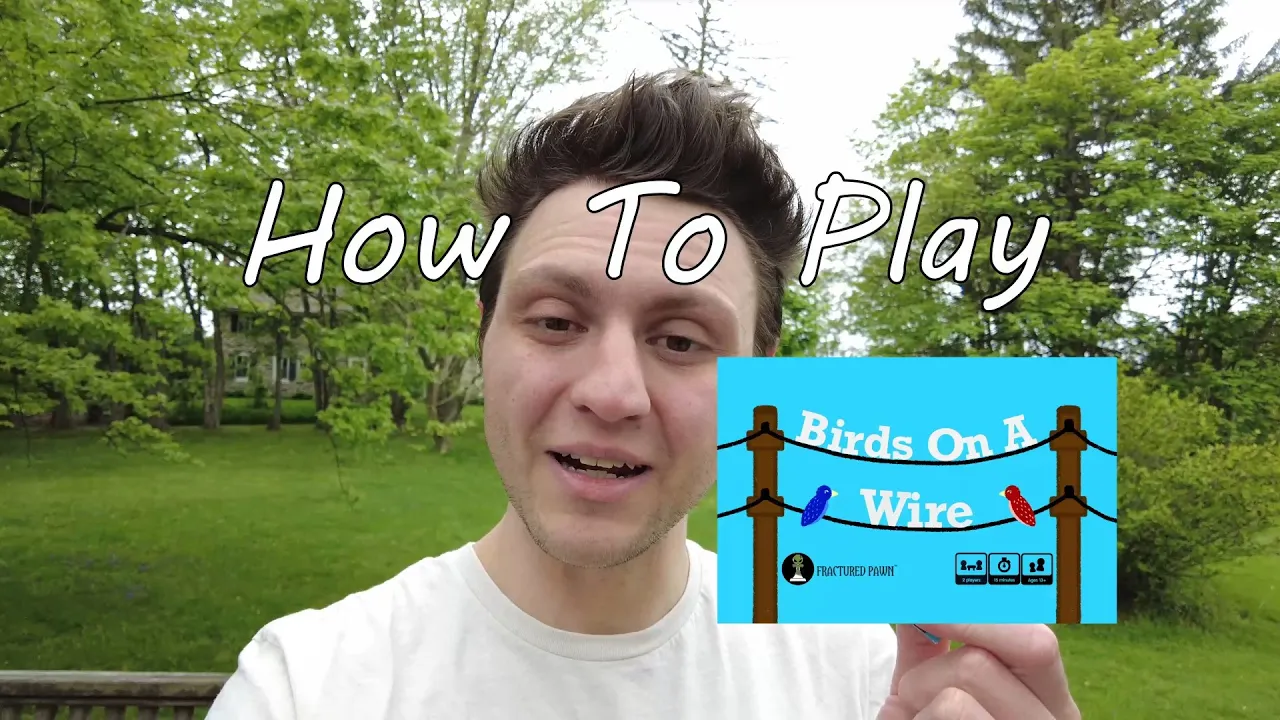 Birds On A Wire | How To Play