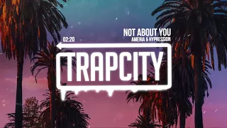 Ameria & HYPRESSION - Not About You