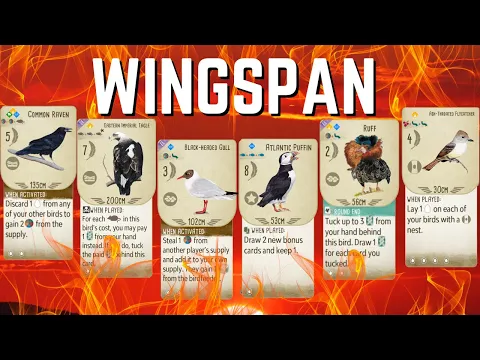 Fire Game Subverts Expectations: Wingspan Board Game