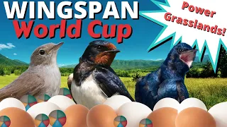 What an Engine!! Wingspan Tournament: World Cup vs Ltrudat