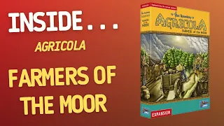 Inside…Agricola: Farmers of the Moor (4K60fps)