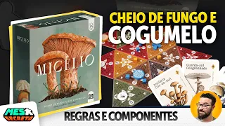 Micélio | Regras e Componentes