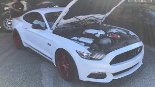 Supercharged Mustang GT 5.0 Review - Raiti's Rides