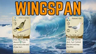 Card Drawing Crusher: Wingspan Board Game Strategy & Gameplay