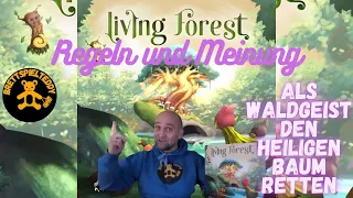 Living Forest - Spiel - Brettspiel Teddy - Regeln und Meinung - Board Games