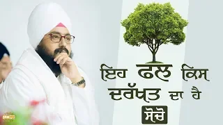ਇਹ ਫਲ ਕਿਸ ਦਰੱਖਤ ਦਾ ਹੈ ਸੋਚੋ  Which tree this fruit is from