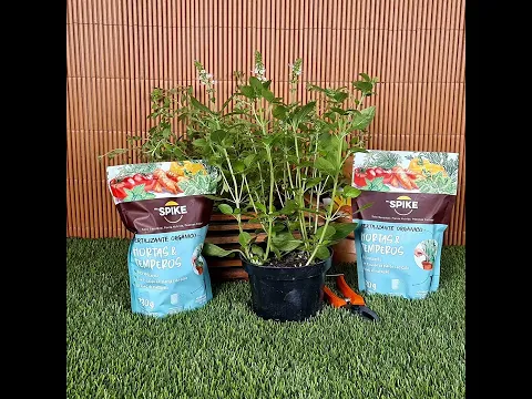 Fertlizante Hortaliças Orgânico