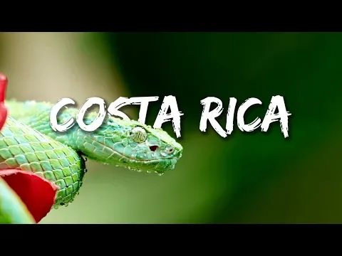 youtube-video-thumbnail