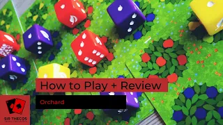 How to Play + Review | Orchard
