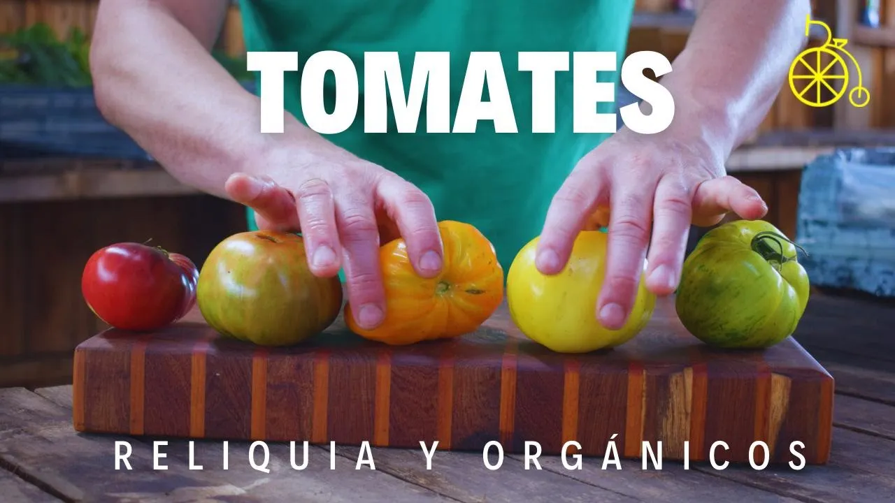 Video de Donpacho