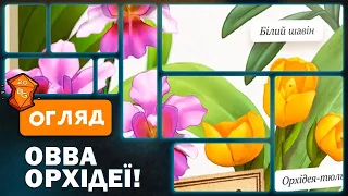 Огляд від Beaver Games