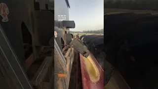 Automated Feeding System! 🐄 #machine #machinery #farming