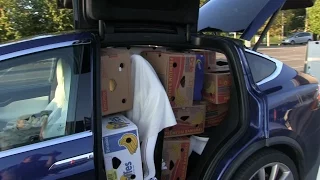 Cargo space in Model S vs X
