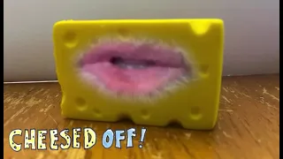 Cheesed Off! introduction video