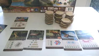 Kaskadia - przebieg gry