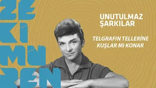 Zeki Müren - Telgrafın Tellerine Kuşlar Mı Konar - (Official Video)