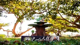 One of the BEST-LOOKING board games! QUICK Everdell Tutorial