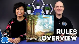 Ringyo - Rules Overview. Gorgeous Forest, Manage Growth and Risk. Board Game Preview and Tutorial.