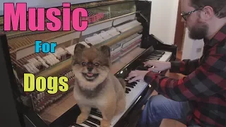 5 Relaxing Songs For Your Dog