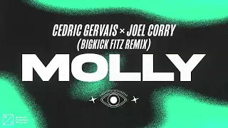 Cedric Gervais & Joel Corry - MOLLY (BIGKICK FITZ Remix) [Official Audio]