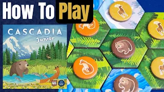 Cascadia Junior How to Play Learn to Play in 4 Minutes