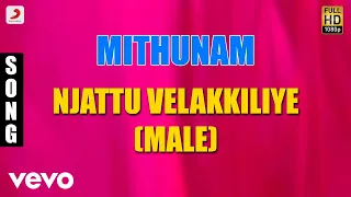 Mithunam - Njattu Velakkiliye Male Malayalam Song | Mohanlal, Urvashi