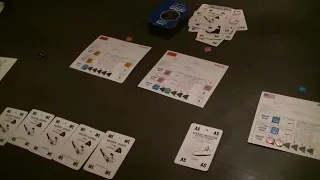 Duel