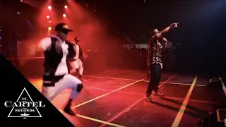 Daddy Yankee - Beligica (2014) (Live)