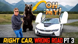 When Driving the Alaska Highway, Don't Forget to Stop and Smell the Bears! (Part 3)