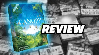CANOPY | Review