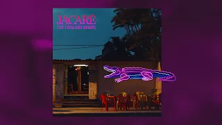 SOFI TUKKER - Jacaré (Cat Dealers Remix) [Ultra Records]