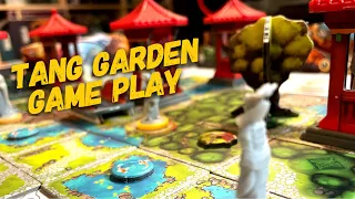 Tang Garden Game Play