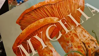 Mycelia - A Boardgame about mushrooms
