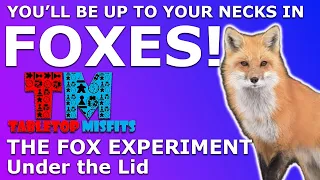 You'll be surrounded in cuteness in The Fox Experiment!