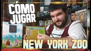 Cómo Jugar | Tutorial Completo