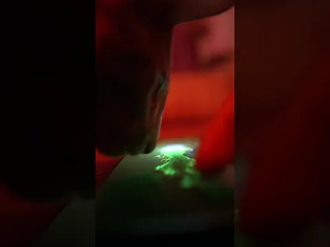 Відео Fluid