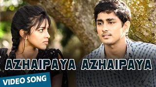 Azhaipaya Azhaipaya Official Video Song | Kadhalil Sodhapuvadhu Yeppadi | Siddharth | Amala Paul