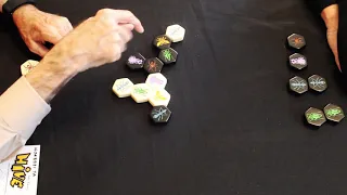 How to Play Hive
