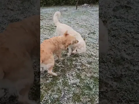 youtube-video-thumbnail