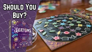 Before You Buy Diatoms – It’s Gorgeous, But Is It Good?