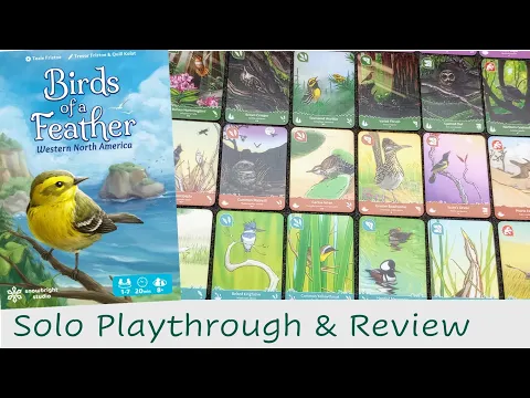 Birds of a Feather Solo Playthrough & Review | Bits & Biology