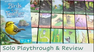 Birds of a Feather Solo Playthrough & Review | Bits & Biology